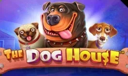 Play The Dog House at Aztec Paradise